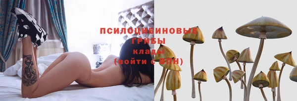 jwh Алзамай