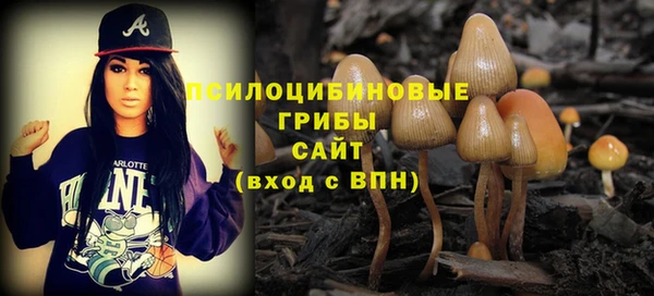 jwh Алзамай